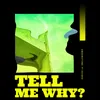 About TELL ME WHY Song