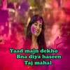 About yaad main dekho bna diya haseen taj mahal Song