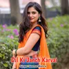 About Dil Ki Janch Karvai Song