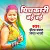 About Pichkari Bade Bade Song