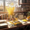 feet cat