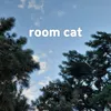 room cat