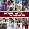 About 2023 Hitz Mashup Song