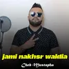 About JAMI NAKHSER WALDIA Song