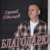 About Благодарю Song