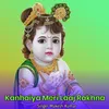 About Kanhaiya Meri Laaj Rakhna Song
