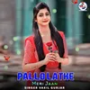 About Pallo Latke Meri Jaan Song