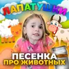 About Песенка про животных Song