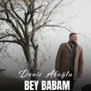 About Bey Babam Song