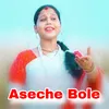About Aseche Bole Song
