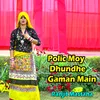About Polic Moy Dhundhe Gaman Main Song