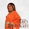 About Unayo Mapungufu Song