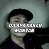 About Apa Kabar Mantan Song