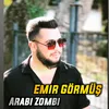 About Arabi Zombi Song