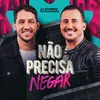 About Não Precisa Negar Song