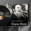 About Taleyim mənim Song