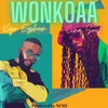 About Wonkoaa Song