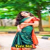 About tere bin Song