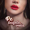 About Pe buzele mele Song
