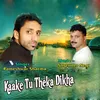 About Kaake Tu Theka Dikha Song