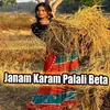About Janam Karam Palali Beta Song