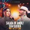 About Salada de Amor / Sem Querer Song