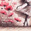 Waltz in D-Flat Major, Op. 64/1: Molto vivace