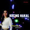 About Kucing Nakal Song