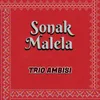 About Sonak Malela Song
