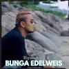 About Bunga Edelweis Song