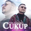 About Cukup Song