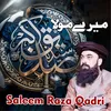 About Maula Mera Abu Bakar Song