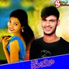 About DUBBARO KETHERO DHADO Song