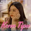 About Kena Tipu Song