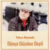 About Dünya Düzələn Deyil Song