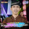 About Alamate Anak Sholeh Song
