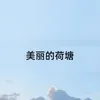 About 美丽的荷塘 Song