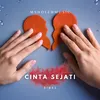 About CINTA SEJATI Song