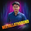 About NEEYALLATHARUND Song