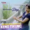 About Hong Wilaheng Keno Tikung Song