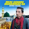 About Mere Sonhre Muhammad Da Song