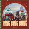 About Ring Ding Dong Song