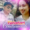 About Bidadari Cendrawasih Song