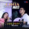 Cinta Setengah Mati