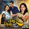 About Tamara Vina Nai Chale Song