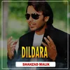 About Dildara Song