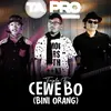 About Cewe BO (Bini Orang) Song
