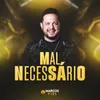 About Mal Necessário Song