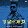About Tu Pachhtawega Song