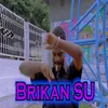 About Brikan Su Song